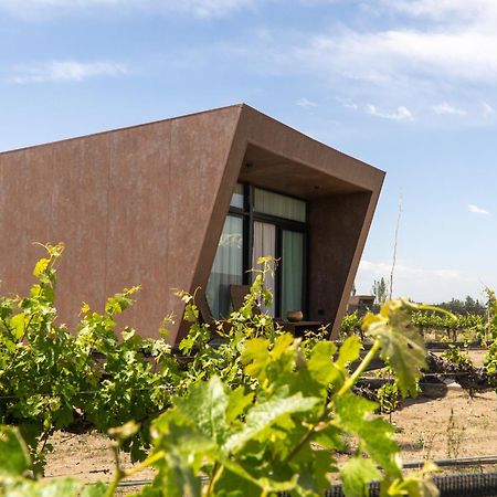 Andeluna Winery Lodge Tupungato megye Kültér fotó