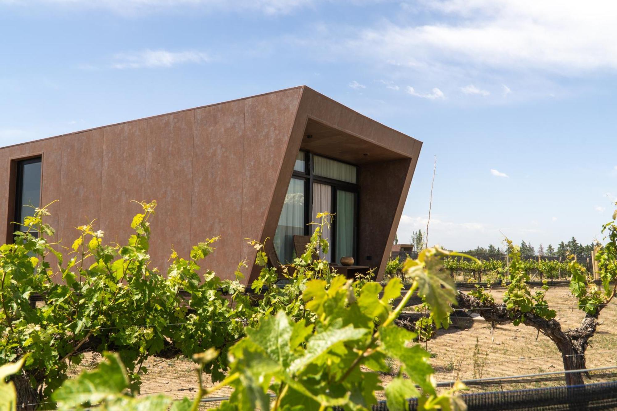 Andeluna Winery Lodge Tupungato megye Kültér fotó